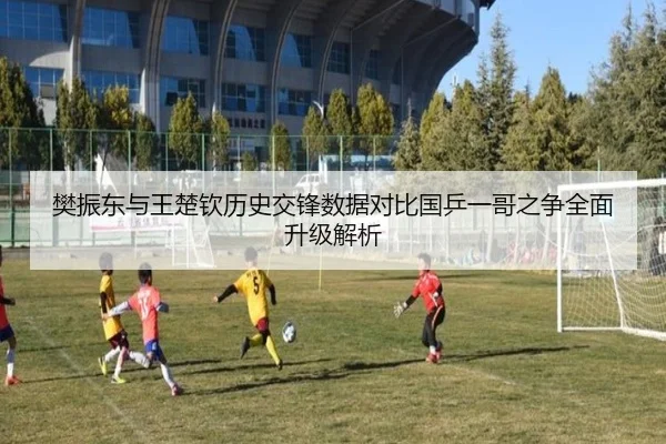 樊振东与王楚钦历史交锋数据对比国乒一哥之争全面升级解析 | Crown