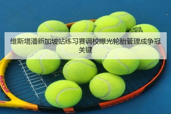维斯塔潘新加坡站练习赛调校曝光轮胎管理成争冠关键 | Crown
