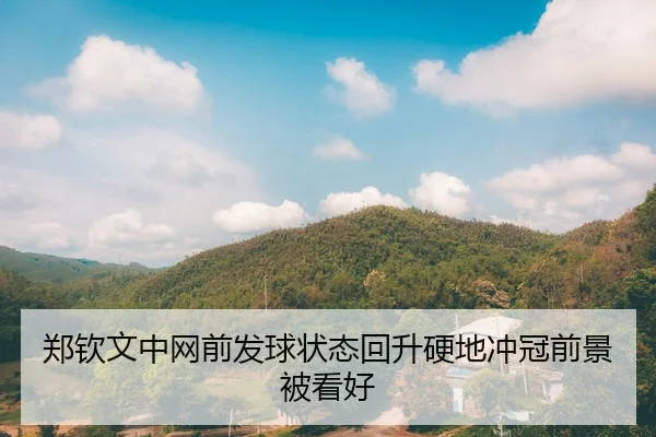郑钦文中网前发球状态回升硬地冲冠前景被看好（Crown）
